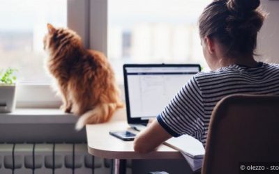 Neues Homeoffice-Gesetz