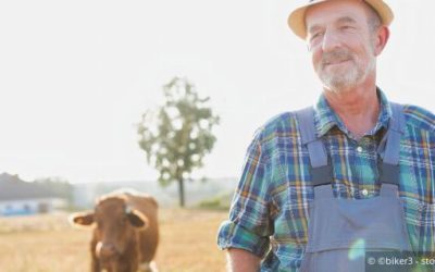 Verlustersatz in der Landwirtschaft