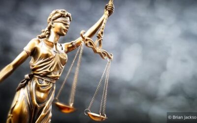 Auswirkungen einer späteren Umsatzsteuer-Option