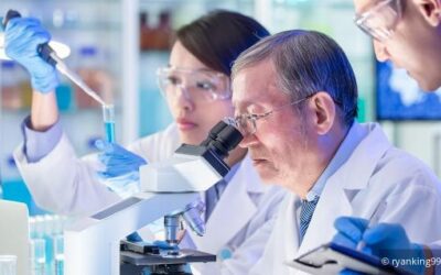 Forschungsprämie: Abzugsfähigkeit von Managergehältern